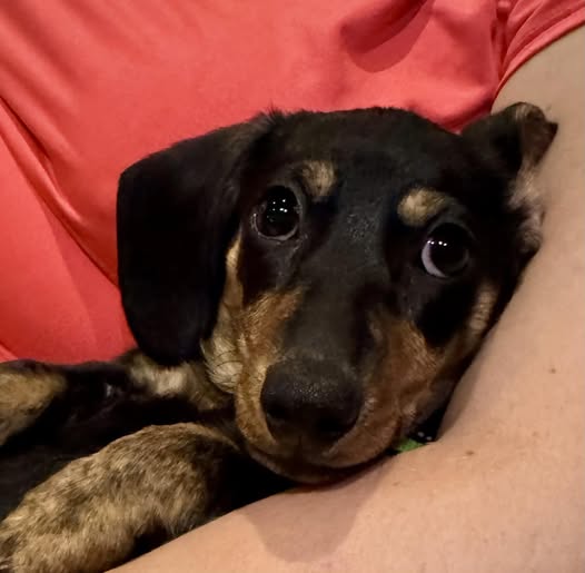 Hendrik weekend avonturen