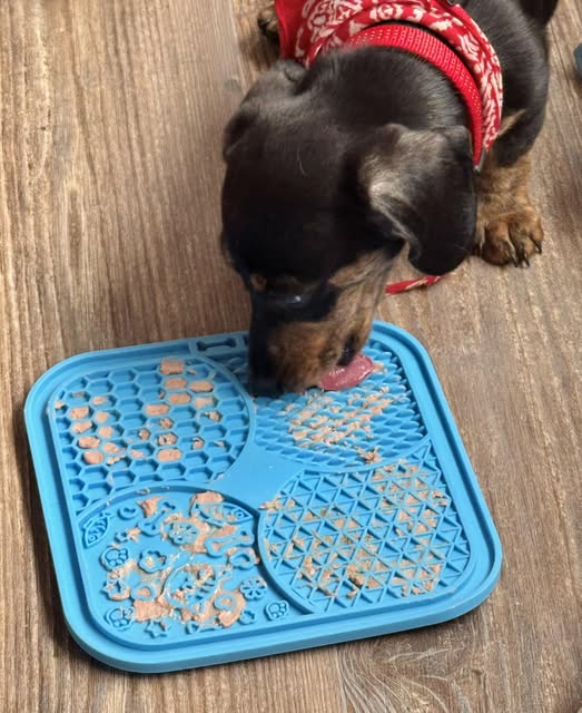 Hendrik in de mini-supermarkt